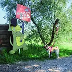 营地 Village Le Capanne 毕博纳的码头